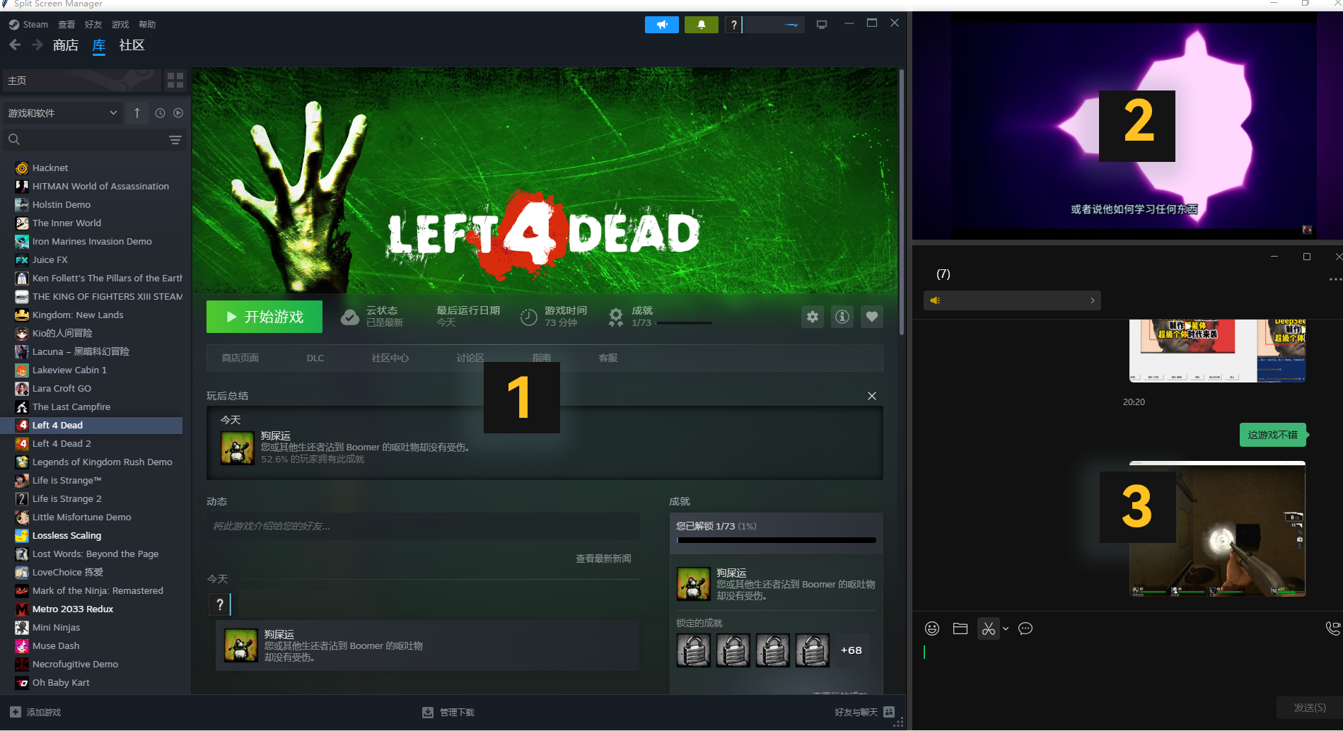 Software preview interface